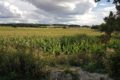 Paysages Cœur de Charente